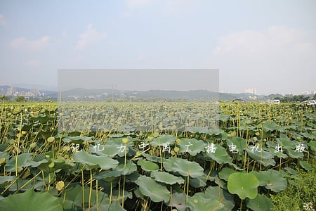 记忆力中国广播电视出版社法律出版社 记忆力中国广播电视出版社法律出版社
