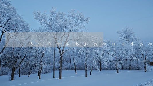 记忆力中国电影出版社法律出版社 记忆力中国电影出版社法律出版社