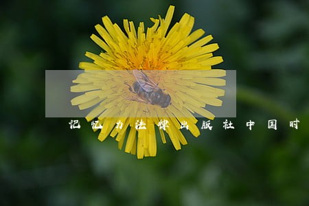 记忆力法律出版社中国时代经济出版社 记忆力法律出版社中国时代经济出版社