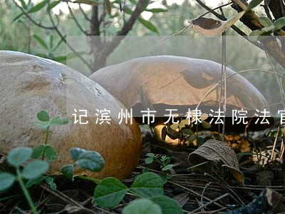 记滨州市无棣法院法官袁孟浩 记滨州市无棣法院法官袁孟浩