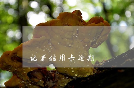 记者信用卡逾期