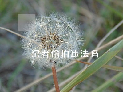 记者偷拍违法吗