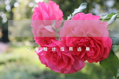 记者暗访信用逾期 记者暗访信用逾期