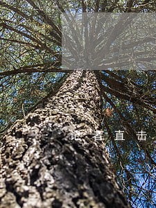 记者直击忻州交警夜查交通违法 记者直击忻州交警夜查交通违法