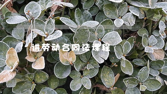 讲劳动合同法课程