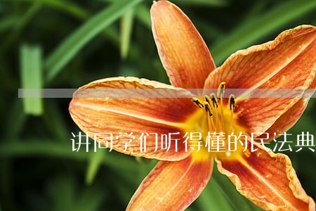 讲同学们听得懂的民法典 讲同学们听得懂的民法典