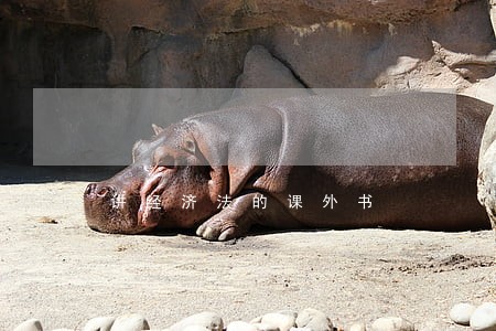 讲经济法的课外书 讲经济法的课外书