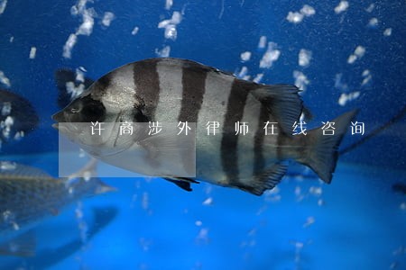 许商涉外律师在线咨询 许商涉外律师在线咨询