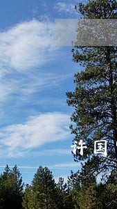 许国富律师 许国富律师