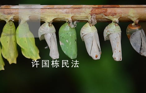 许国栋民法 许国栋民法