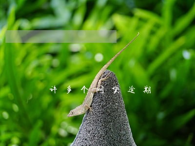 许多个网贷逾期 许多个网贷逾期
