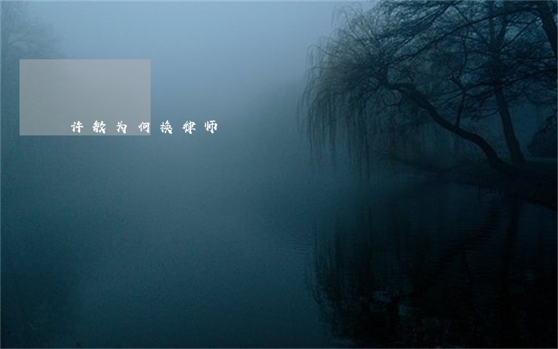 许敏为何换律师 许敏为何换律师