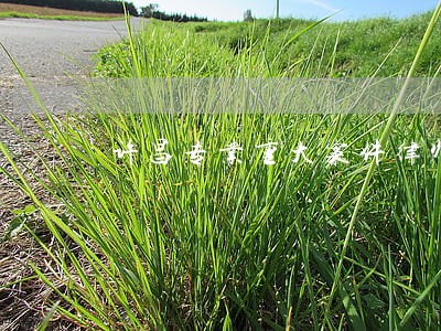 许昌专业重大案件律师咨询推荐 许昌专业重大案件律师咨询推荐