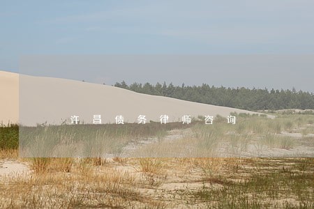 许昌债务律师咨询 许昌债务律师咨询