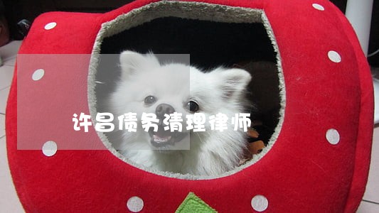 许昌债务清理律师 许昌债务清理律师