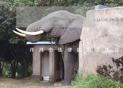 许昌市法律援助工作会议 许昌市法律援助工作会议