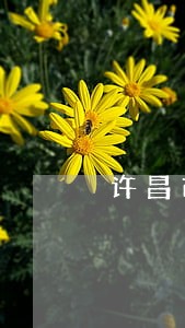 许昌市离婚纠纷律师 许昌市离婚纠纷律师