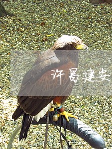 许昌建安法院一直在行动 许昌建安法院一直在行动