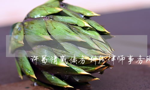 许昌情感债务纠纷律师事务所 许昌情感债务纠纷律师事务所