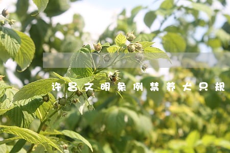 许昌文明条例禁养犬只规定 许昌文明条例禁养犬只规定