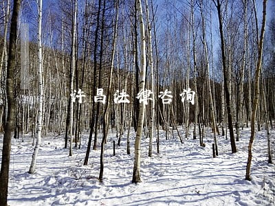 许昌法律咨询 许昌法律咨询