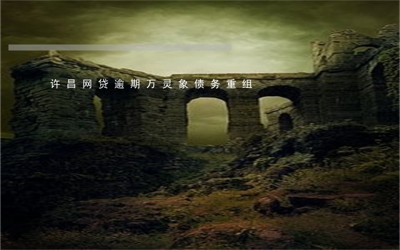 许昌网贷逾期万灵象债务重组 许昌网贷逾期万灵象债务重组