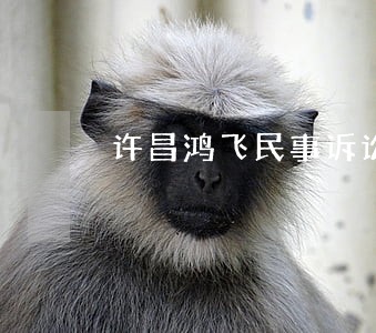 许昌鸿飞民事诉讼 许昌鸿飞民事诉讼