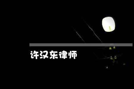 许汉东律师 许汉东律师