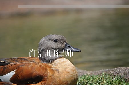 许浩明律师 许浩明律师