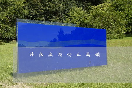 许点点为什么离婚 许点点为什么离婚