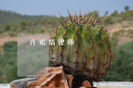 许诺婧律师 许诺婧律师
