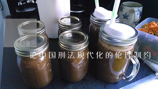 论中国刑法现代化的伦理制约 论中国刑法现代化的伦理制约