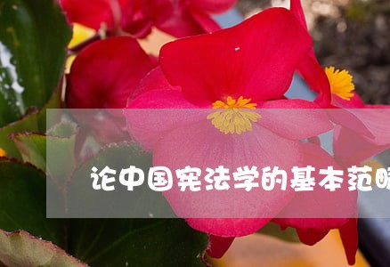 论中国宪法学的基本范畴 论中国宪法学的基本范畴
