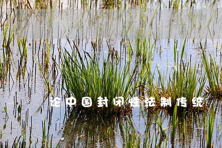 论中国封闭性法制传统 论中国封闭性法制传统