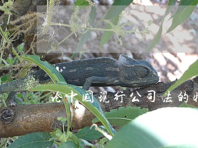 论中国现行公司法的特色 论中国现行公司法的特色