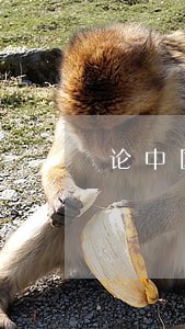 论中国经济法的平衡协调性 论中国经济法的平衡协调性