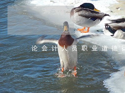 论会计人员职业道德行为规范 论会计人员职业道德行为规范