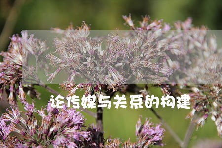 论传媒与关系的构建 论传媒与关系的构建