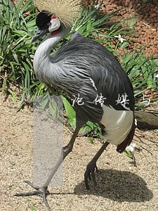 论传媒与司法的冲突及其解决 论传媒与司法的冲突及其解决