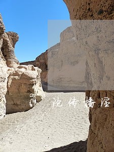 论传播淫秽物品牟利罪的司法认定