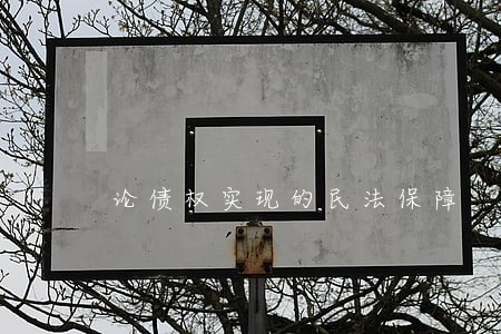 论债权实现的民法保障 论债权实现的民法保障