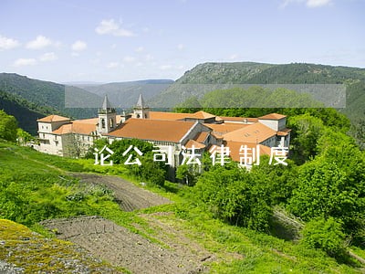 论公司法律制度 论公司法律制度