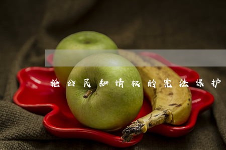 论公民知情权的宪法保护
