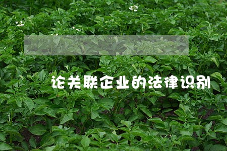 论关联企业的法律识别 论关联企业的法律识别
