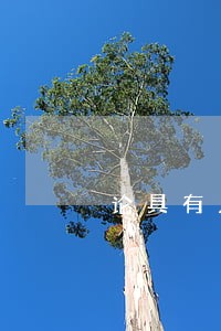 论具有人格利益财产的民法保护 论具有人格利益财产的民法保护