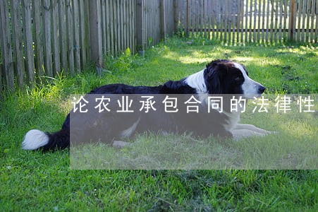论农业承包合同的法律性质 论农业承包合同的法律性质
