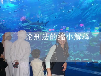 论刑法的缩小解释