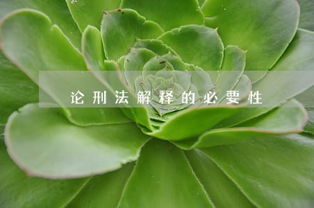 论刑法解释的必要性 论刑法解释的必要性