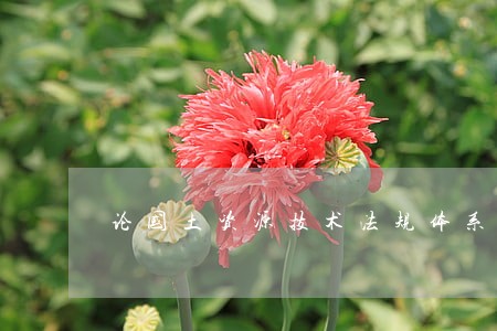 论国土资源技术法规体系的建立