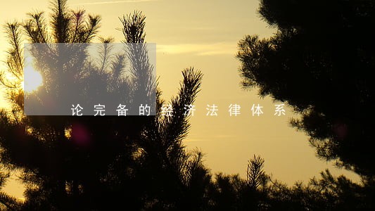 论完备的经济法律体系 论完备的经济法律体系